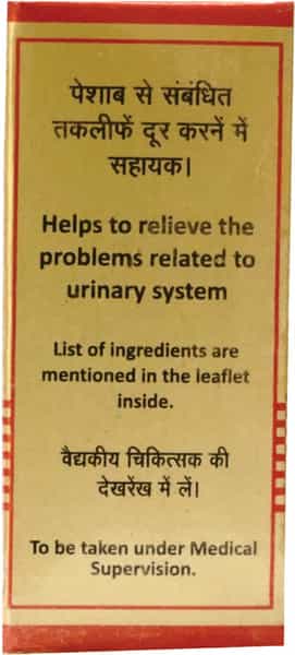 Baidyanath Asli Ayurved Somnath Ras Brsy -10 Tablets