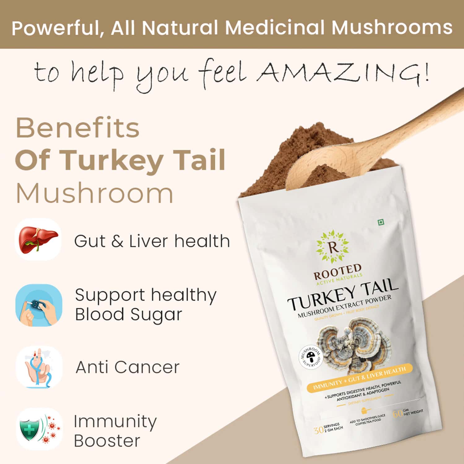 Buy ROOTED ACTIVES TURKEY TAIL MUSHROOM EXTRACT POWDER PURE FRUIT