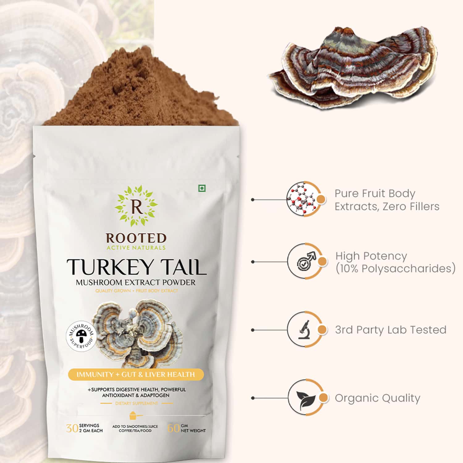 Buy ROOTED ACTIVES TURKEY TAIL MUSHROOM EXTRACT POWDER PURE FRUIT