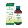 Wheezal Pylaxo Piles Elixir 450 Ml