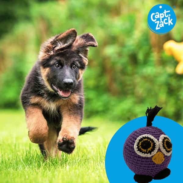 Captain Zack Crochet Owl Dog Toy