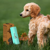 Imvelo Compostable Dog Poop Bags (90 Bags) 3 Rolls | Leak Proof Pet Waste Garbage Bags (Pack Of 3)