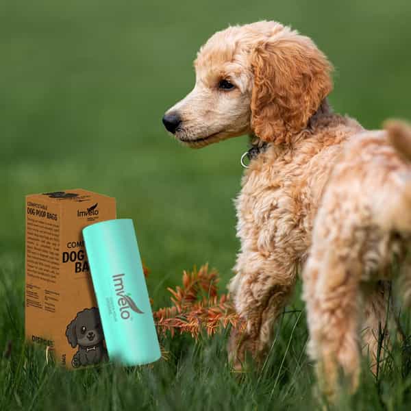 Imvelo Compostable Dog Poop Bags (90 Bags) 3 Rolls | Leak Proof Pet Waste Garbage Bags (Pack Of 3)