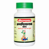 Baidyanath Asli Ayurved Amlapittantak Yog | Constipation Relief | Healthy Digestion | 100N