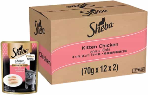 Sheba Fine Premium Kitten (2-12 Months) Wet Cat Food | Chicken Premium Loaf | 24 X 70 G