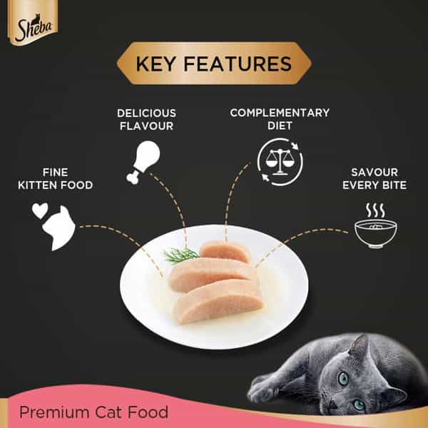 Sheba Fine Premium Kitten (2-12 Months) Wet Cat Food | Chicken Premium Loaf | 24 X 70 G
