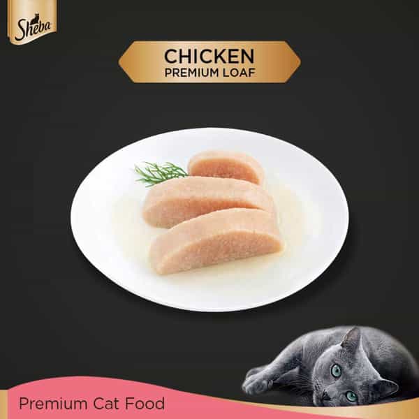 Sheba Fine Premium Kitten (2-12 Months) Wet Cat Food | Chicken Premium Loaf | 24 X 70 G