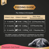 Sheba Fine Premium Kitten (2-12 Months) Wet Cat Food | Chicken Premium Loaf | 24 X 70 G
