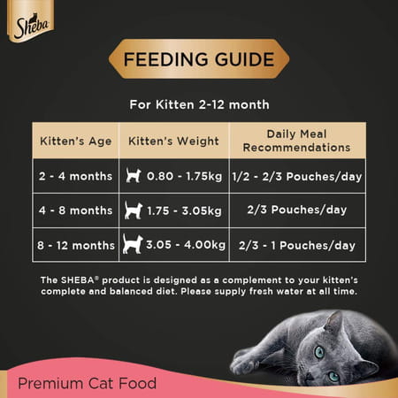 Sheba Fine Premium Kitten (2-12 Months) Wet Cat Food | Chicken Premium Loaf | 24 X 70 G