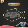 Sheba Fine Premium Kitten (2-12 Months) Wet Cat Food | Chicken Premium Loaf | 24 X 70 G