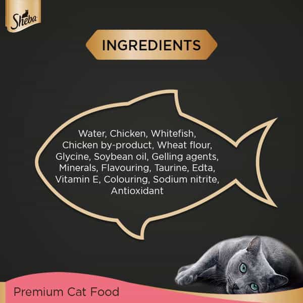 Sheba Fine Premium Kitten (2-12 Months) Wet Cat Food | Chicken Premium Loaf | 24 X 70 G