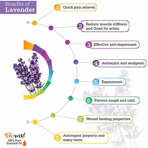 Go Woo 100% Pure Lavender Oil Steam Distilled Virgin 10 Ml