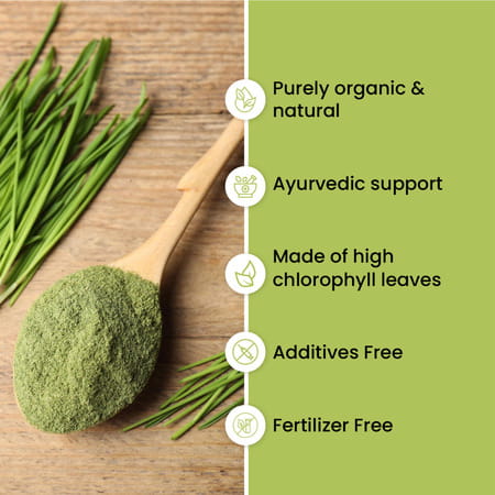Vlado'S Himalayan Organics 100% Natural Organic Wheatgrass Powder | Usda Certified - 100g