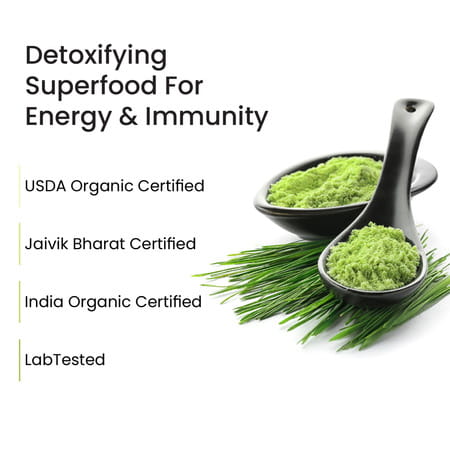 Vlado'S Himalayan Organics 100% Natural Organic Wheatgrass Powder | Usda Certified - 100g