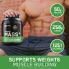 Optimum Nutrition (On) Serious Mass High Protein High Calorie Weight Gainer Powder-5 Kg Vanilla
