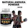 Riffway Natural Andura Weight Gain Powder (2X200gm)