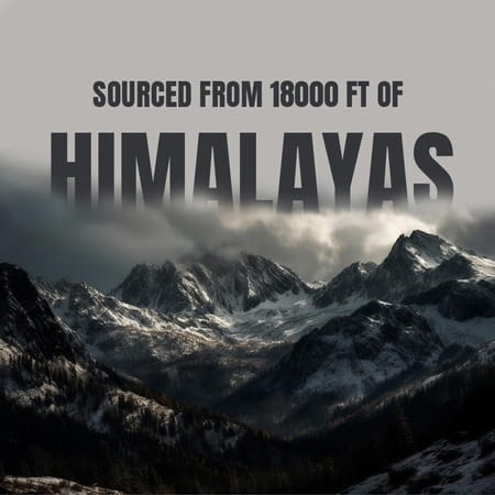 Bargad 100% Pure Himalayan Shilajit Resin - Natural Extract | Third-Party Lab Tested - 30 Sachets