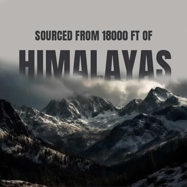 Bargad 100% Pure Himalayan Shilajit Resin - Natural Extract | Third-Party Lab Tested - 30 Sachets