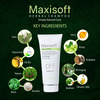 Maxisoft Herbal Shampoo | Hair Fall Control | For All Hair Types | Tube | 200 Ml | Pack Of 2