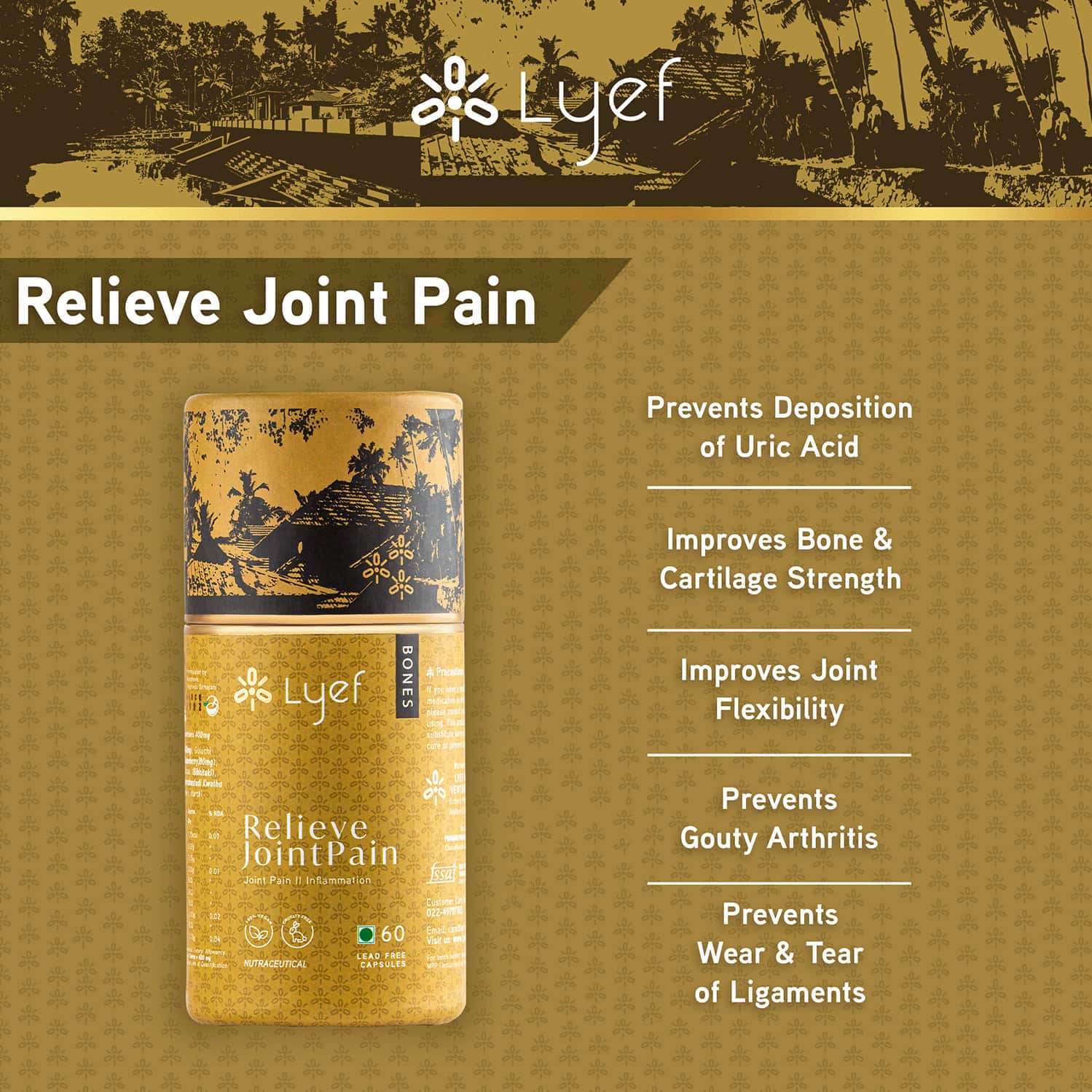 Buy LYEF RELIEVE JOINT PAINAYURVEDA SUPPLEMENTRELIEVES PAIN