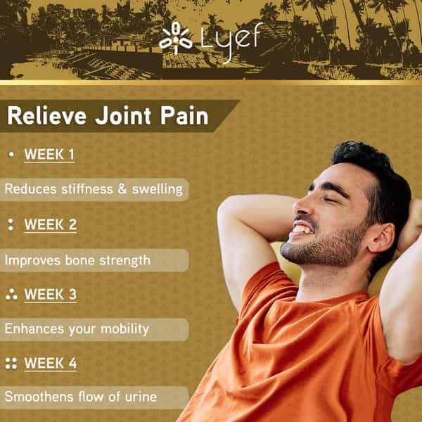 Lyef Relieve Joint Pain-Ayurveda Supplement-Relieves Pain - Improves Mobility Of Joints-100%Vegan