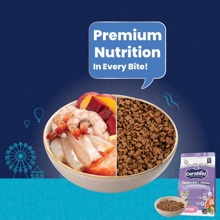 Carniwel Fresh Fish & Shrimp Kitten Dry Cat Food 1 Kg | Fresh & Natural Ingredients