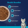 Carniwel Fresh Fish & Shrimp Kitten Dry Cat Food 1 Kg | Fresh & Natural Ingredients