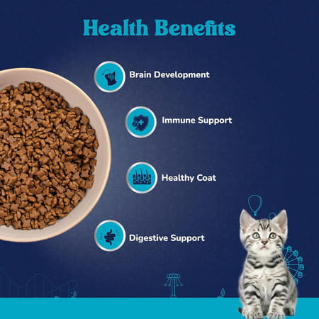 Carniwel Fresh Fish & Shrimp Kitten Dry Cat Food 1 Kg | Fresh & Natural Ingredients