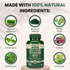 Nutrabud Plant Based Vitamin B12 | 100% Rda | 120 Veg Capsules