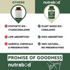 Nutrabud Plant Based Vitamin B12 | 100% Rda | 120 Veg Capsules