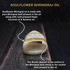 Soulflower Bhringraj Oil 225Ml & Rosemary Lavender Healthy Hair Oil 225Ml Combo