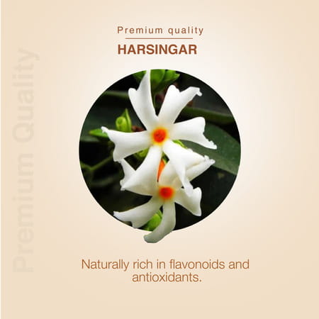 Ayouthveda Harsingar Flower Tea (Phant) - 200g