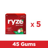 Ryze Nicotine Gum 2Mg | Royal Paan | 2Mg | Helps In Quitting Smoking & Tobacco | 9 Count | Pack Of 5