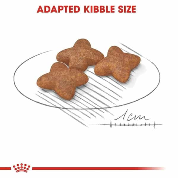 Royal Canin Mini Adult Dog Food | 4 Kg | Dry Food | Supports Weight Management & Digestive Health