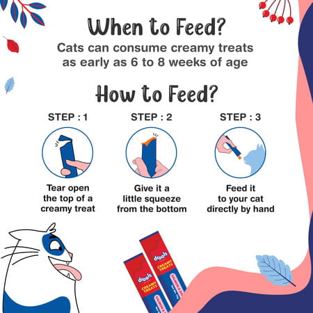 Drools Creamy Lickable Cat Treats Salmon & Skipjack 25pcs | 375g Pack | All Life Stages