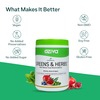 Oziva Superfood Greens & Herbs 250g | For Better Metabolism Detox & Digestion