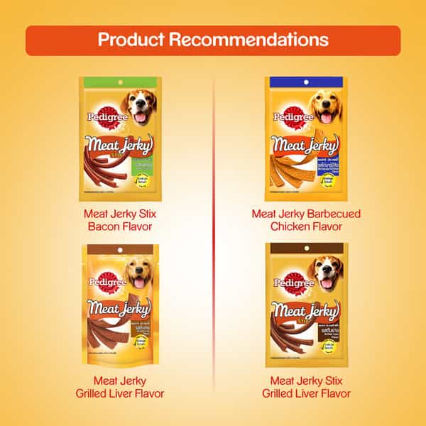 Pedigree Meatjerky Stix Smoked Salmon 60G