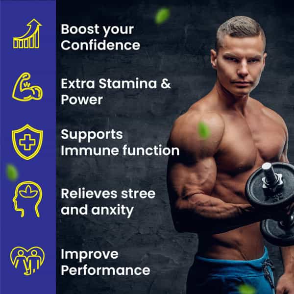 Cipzer Men Wellness Bigger Longer Harder Capsule Amplify Stamina,Reduce Stress & Anxiety 30 Capsules