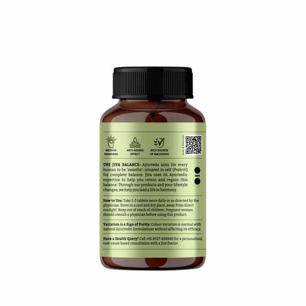 Jiva Brahmi Tablets 500Mg For Mind Wellness|Helps To Relief Stress & Anxiety - 120 Tabs(Pack 2)