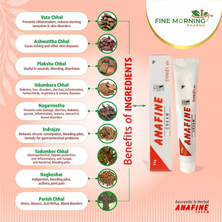 Fine Morning Pharma Ayurvedic Anafine Cream (Pack Of 2) For Piles & Fissures (30g)