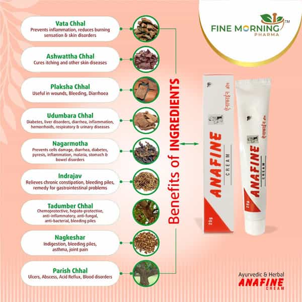 Fine Morning Pharma Ayurvedic Anafine Cream (Pack Of 2) For Piles & Fissures (30G)