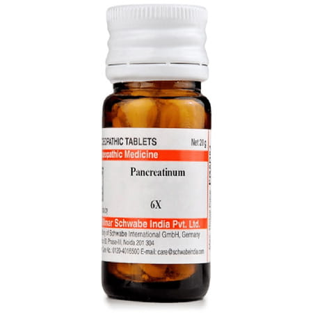 Dr. Willmar Schwabe India Pancreatinum Trituration Tablet 6x 20 No'S