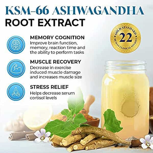 Plix Ashwagandha With Bhringraj & Brahmi 15 Effervescent Tablets Pack Of 1 Bottle
