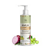 Tnw-The Natural Wash Amla Shampoo - 200 Ml