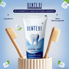 Dente 91 Enamel Pro Cool Mint Toothpaste 100 Gm