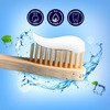 Dente 91 Enamel Pro Cool Mint Toothpaste 100 Gm