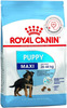 Royal Canin Maxi Puppy Food | 2.5 Kg | Dry Food | Supports Immune System & Digestive Health