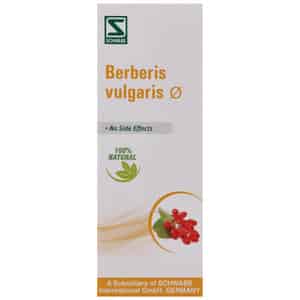 Dr. Willmar Schwabe India Berberis Vulgaris Mother Tincture Q 30 Ml