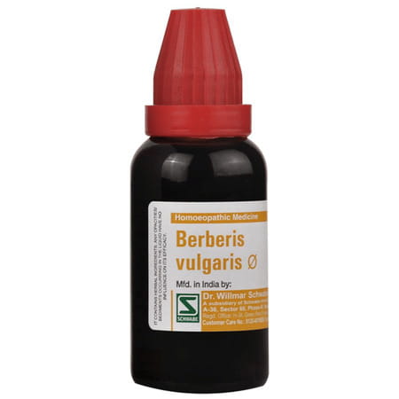 Dr. Willmar Schwabe India Berberis Vulgaris Mother Tincture Q 30 Ml