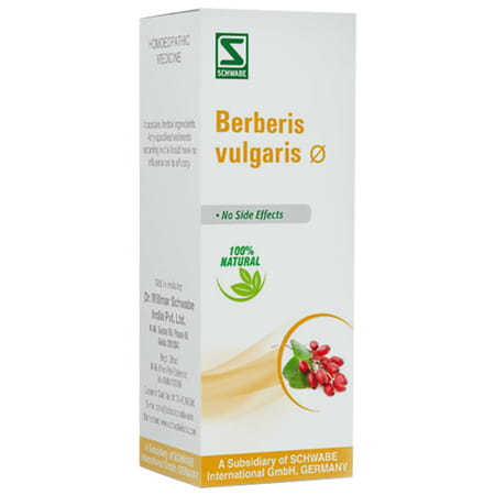 Dr. Willmar Schwabe India Berberis Vulgaris Mother Tincture Q 30 Ml